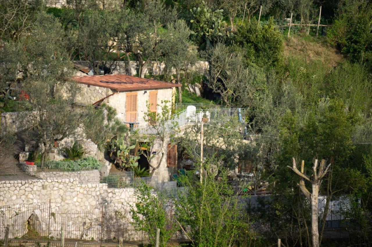 Cynara Holiday House Massa Lubrense Exterior photo